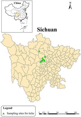 Identification of novel Jingmen tick virus from parasitic ticks fed on a giant panda and goats in Sichuan Province, southwestern China